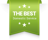 best domestic service in india